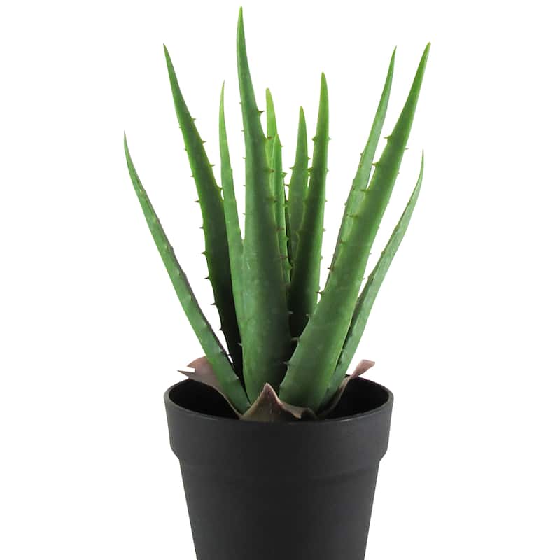 13.5in Artificial Real Touch Soft Aloe Succulent Plant in Black Pot - 13.5" H x 9" W x 9" DP