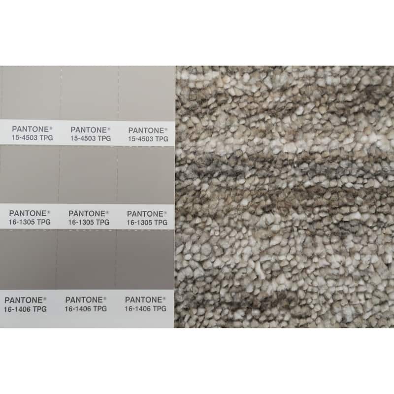 Hand Knotted Oriental Viscose Silk Carpet Tribal Animal Pictorial Greys & Charcoal Gabbeh Area Rug - 11' 11'' X 8' 11''