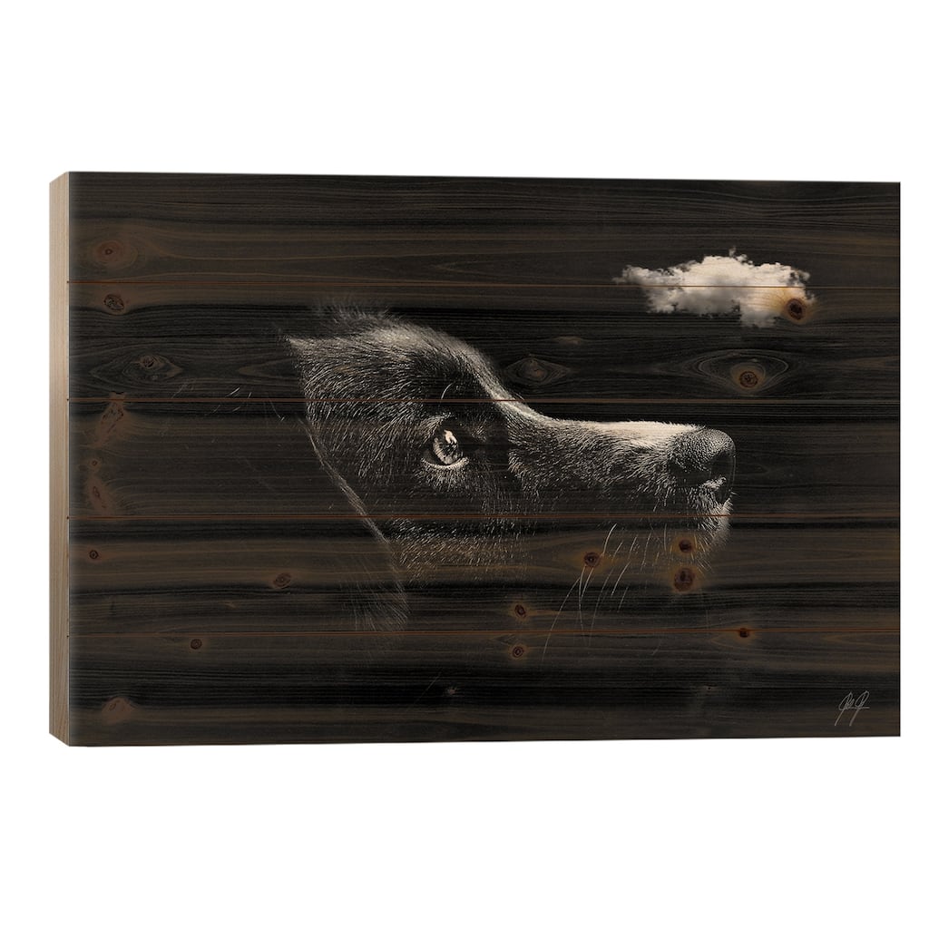 Discovering I Print On Wood by Kathrin Federer - Multi-Color