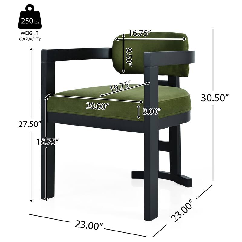Modern Set of 2 Dining Chairs with Armrests Cushioned Backrest, Solid Wood Frame for Dining Room Living Room and Café