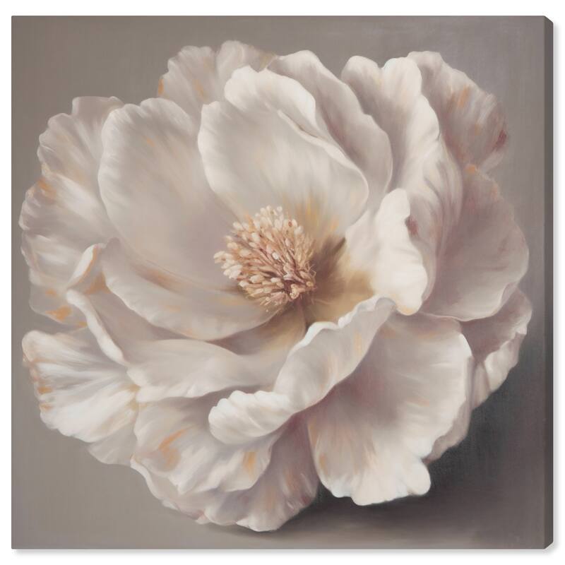 Wynwood Studio Canvas Floral and Botanical Fragrant Flower White and Cream White Traditional Wall Art Canvas Print - White, Gray