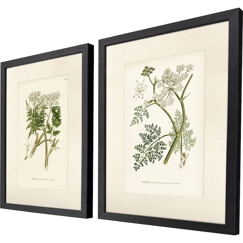 Paragon Queen's Lace I Framed Art - Set of 2
