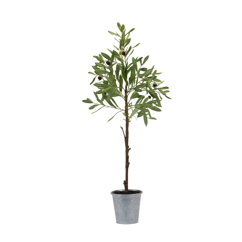 Potted Olive Tree - 14.5 x 31.5; 5.25 x 5.25