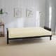 Option Ivory