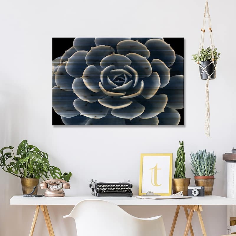 Indigo Succulent IV Print On Wood by Mia Jensen - Multi-Color