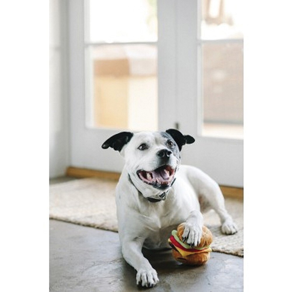 food shaped dog toys