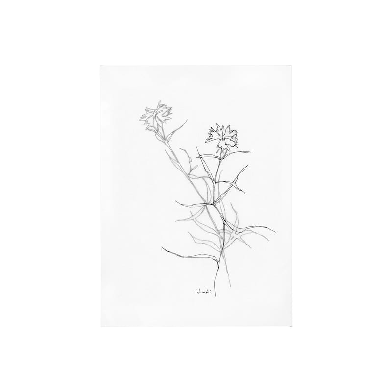 Arrangement II (30 x 40) Canvas Art Print - Small