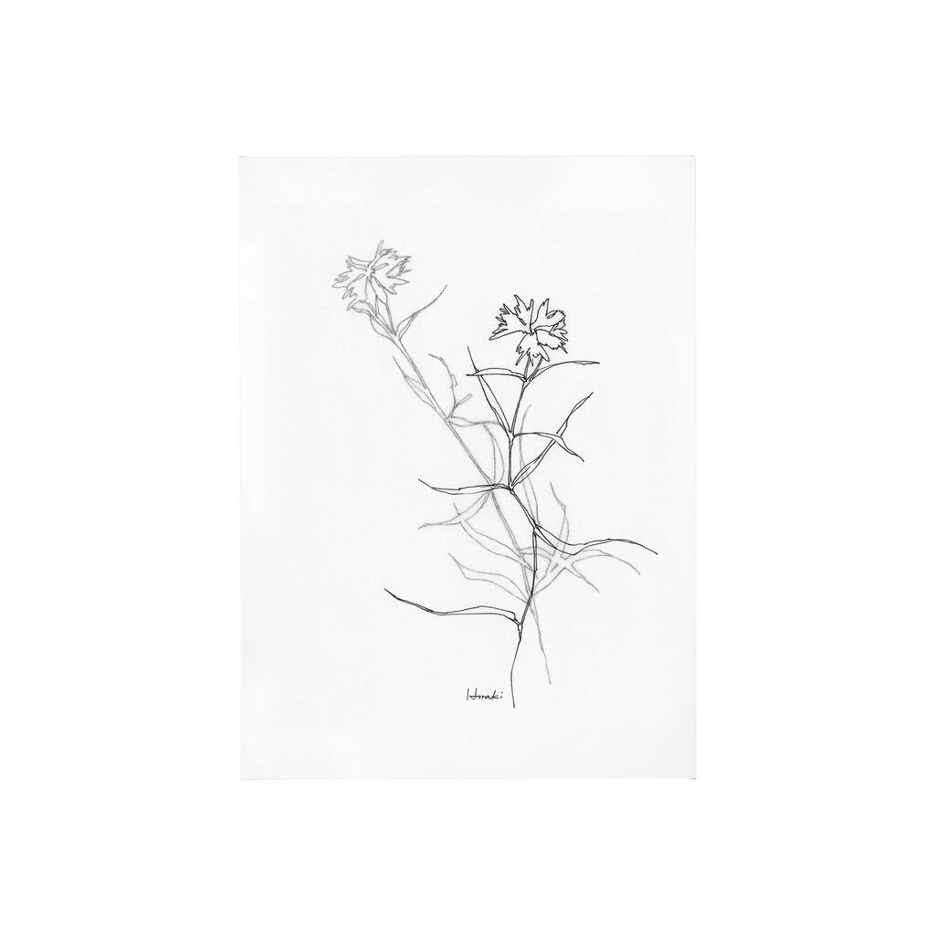 Arrangement II (30 x 40) Canvas Art Print