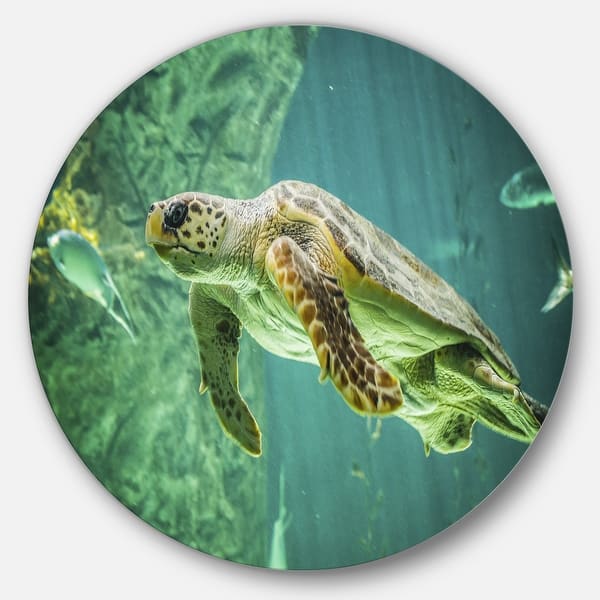 Designart 'Huge Turtle Swimming' Animal Digital Art Large Disc