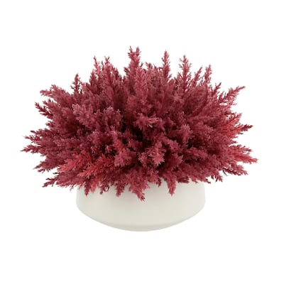 Pampas Arrangement in a Fiberstone Vase - Red, White