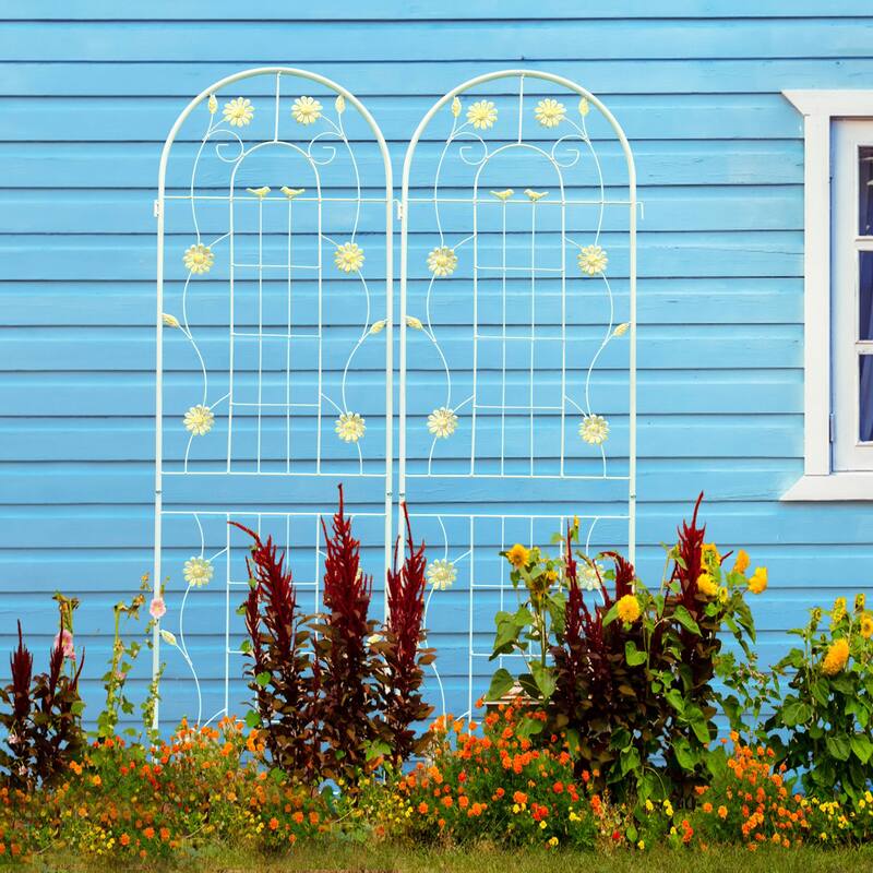2 Pack Metal Garden Trellis 71" x 19.7" Rustproof Trellis for Climbing Plants Outdoor Flower Support Cream