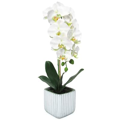 Cream White Artificial Phalaenopsis Orchid Flower Arrangement in Square Embossed Stripe Ceramic Pot 23in - 23" H x 9" W x 8" DP