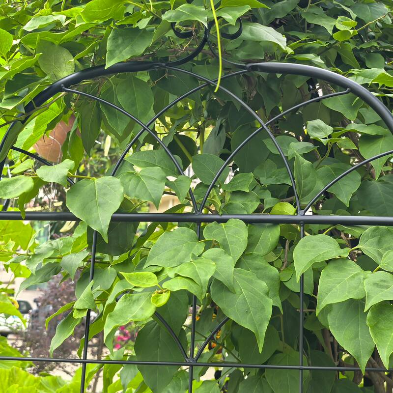 Metal Garden Trellis, 2 Pack Metal Trellis for Climbing Plants, Indoor/Outdoor Plant Trellis, Lawn Garden Fence Decor Screen