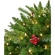 preview thumbnail 6 of 4, Fraser Hill Farm 2-Ft. Porch Tree in Black Pot with Red Berries and Warm White Lights
