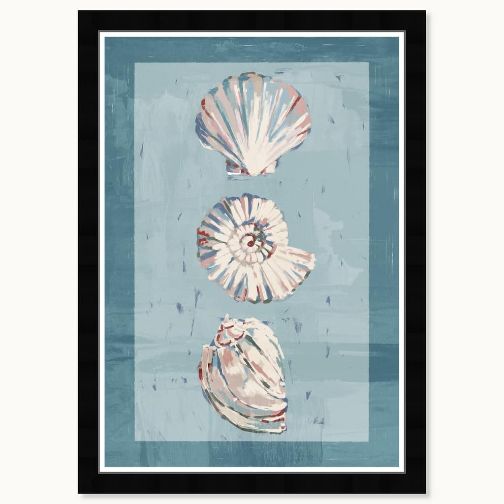 Wynwood Studio Coastal Sea Shells Framed Beachfront Coastal Prints