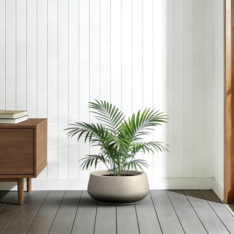 Upgraded Interior Concrete Curvy Round Planter