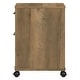 preview thumbnail 18 of 49, Key West 2 Drawer Mobile File Cabinet by Bush Furniture