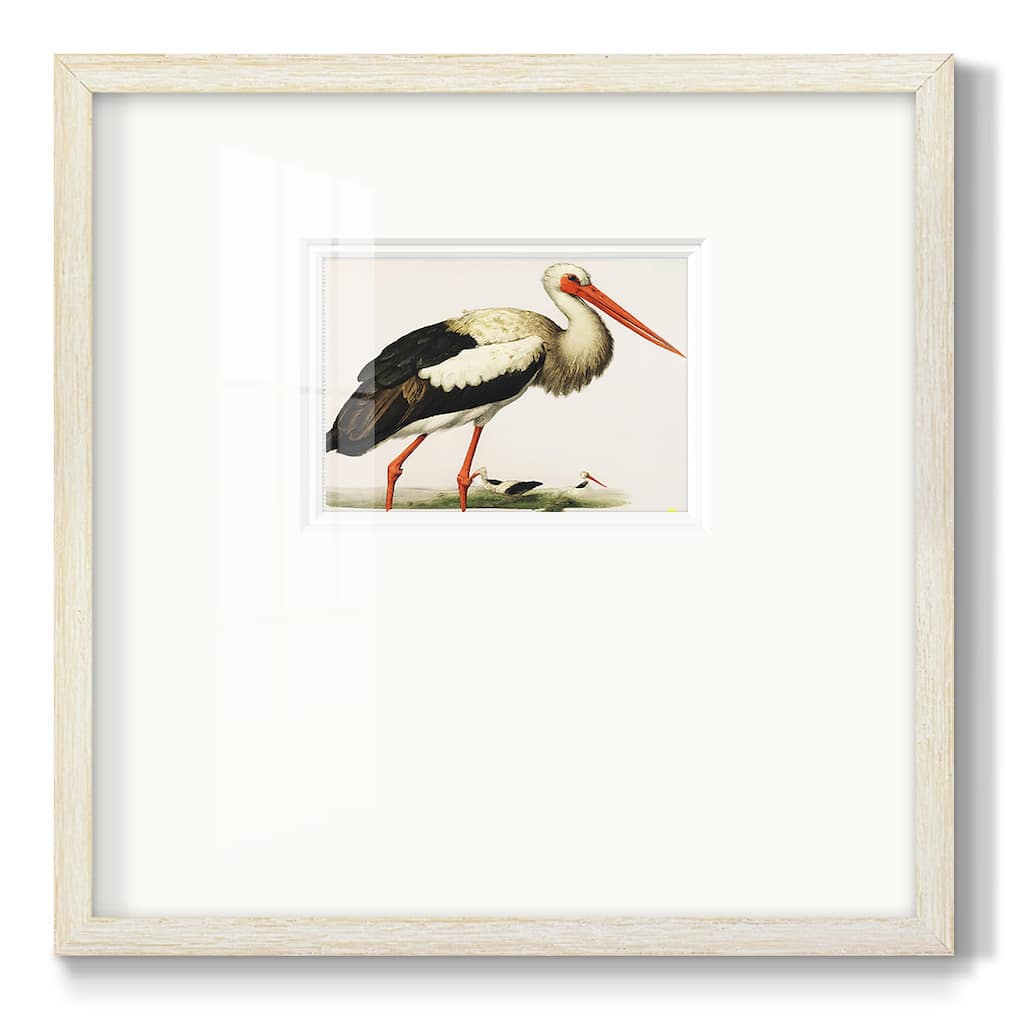 Odd CranePremium Framed Print