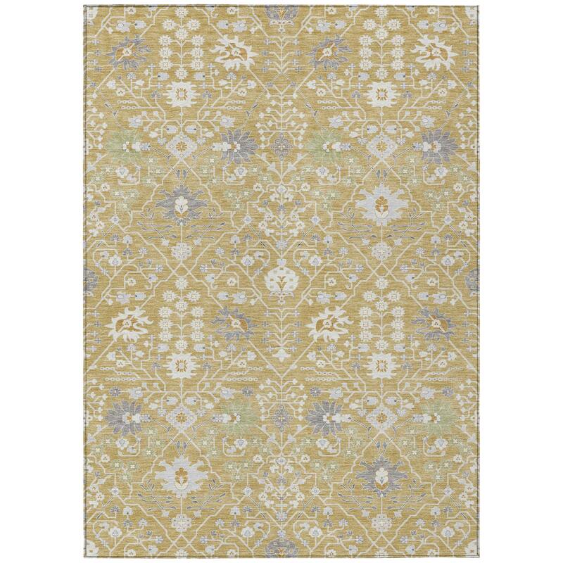 Machine Washable Indoor/ Outdoor Global Traditional Chantille Rug