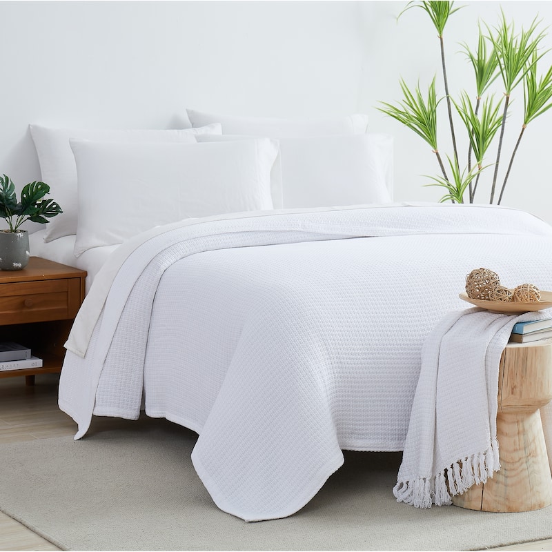 Ashmore 100% Cotton Blanket