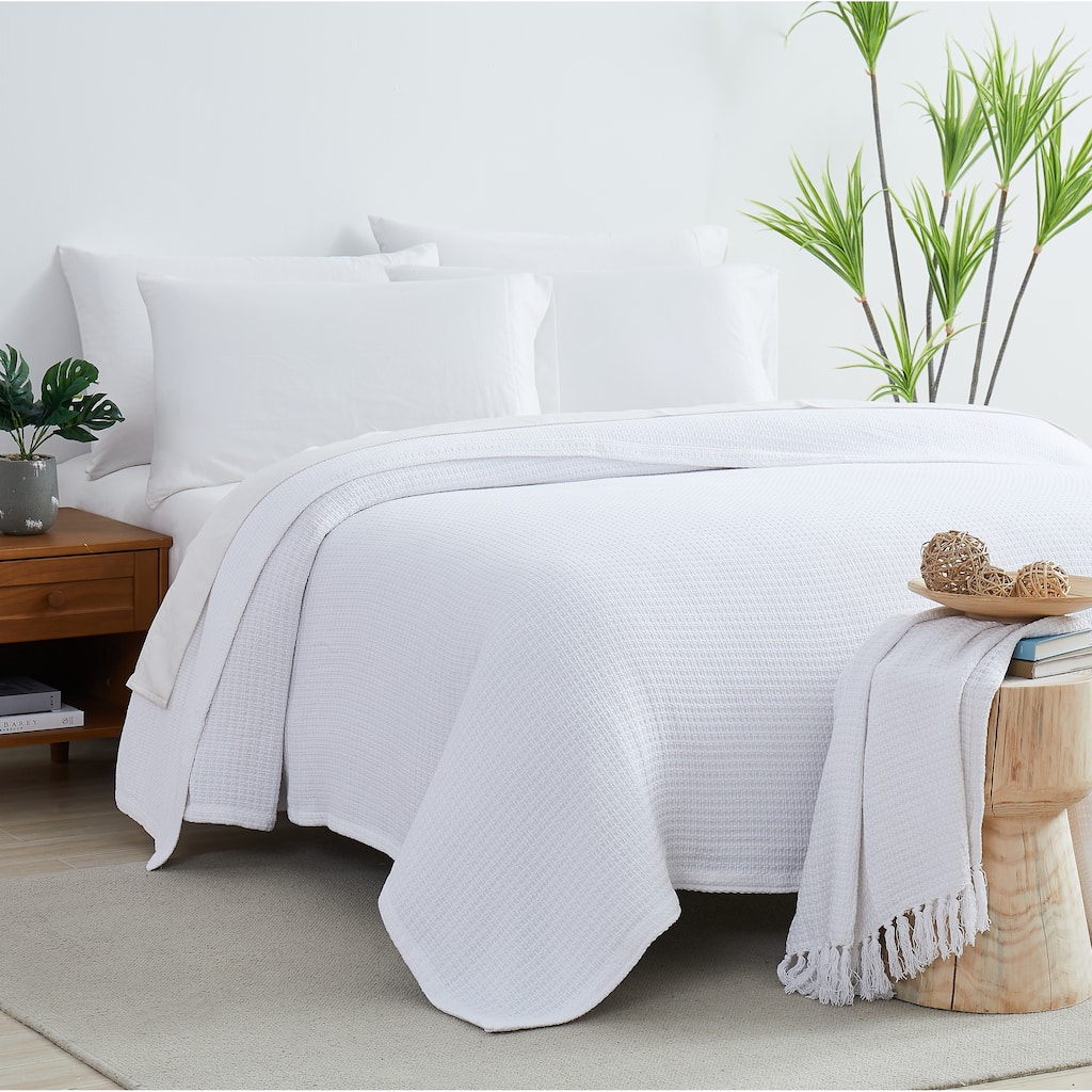 Ashmore 100% Cotton Blanket
