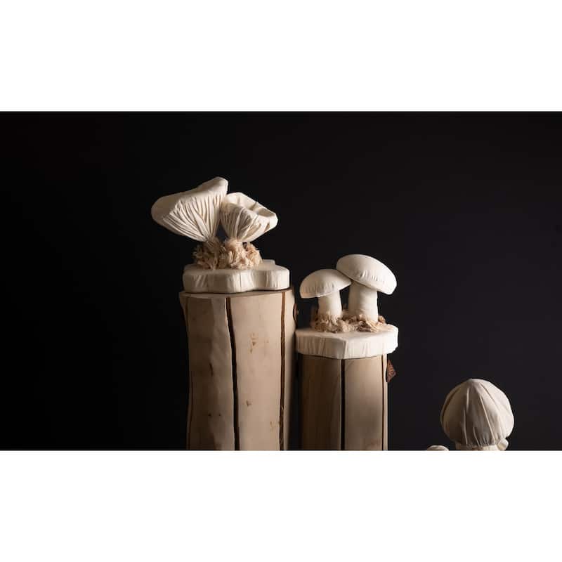 Chanterelle Mushroom Sculpture- A