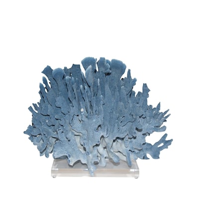 Blue Coral 12-15 Inch On Acrylic Base