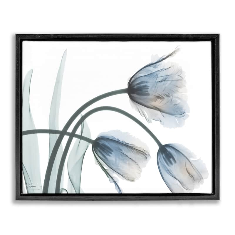Stupell Trendy Mod Tulips Framed Floater Canvas Wall Art Design By Albert Koetsier - 31 x 25 - Black