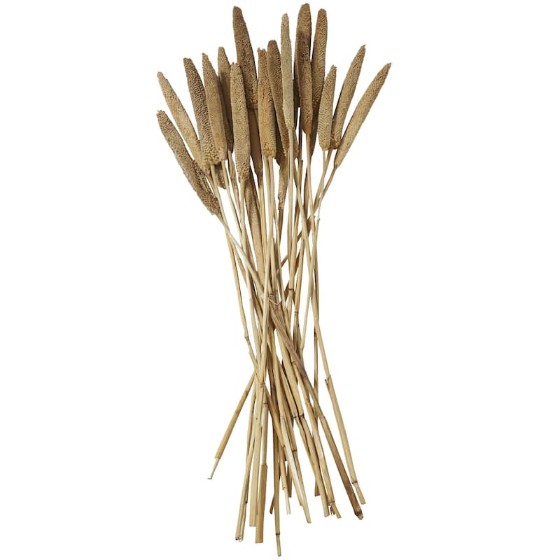 Dried Plant Bunny Tail Home Decor Natural Foliage - White, Red, Dark Brown, Orange, Green, Pink, Yellow - Roche River Decor