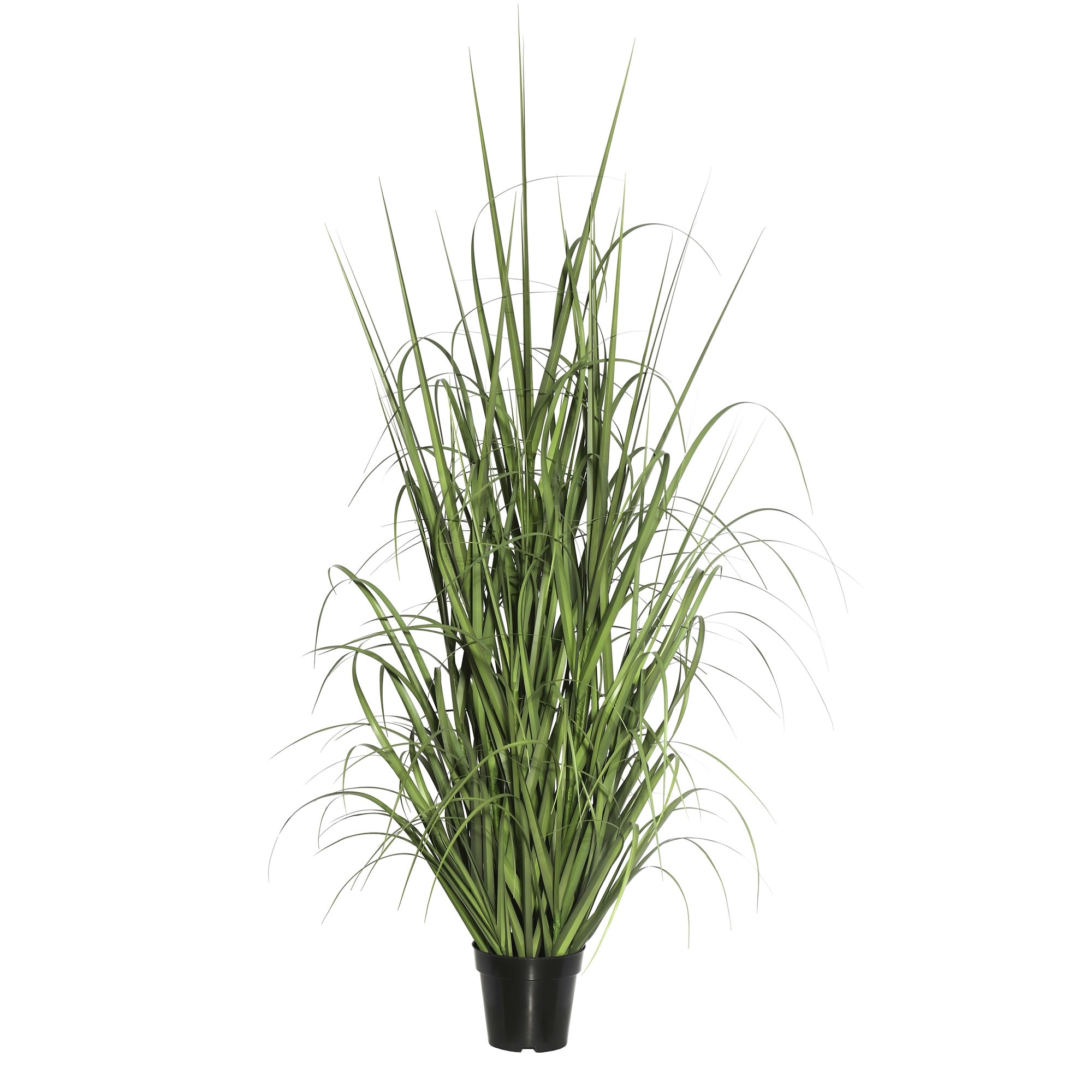 product_img5