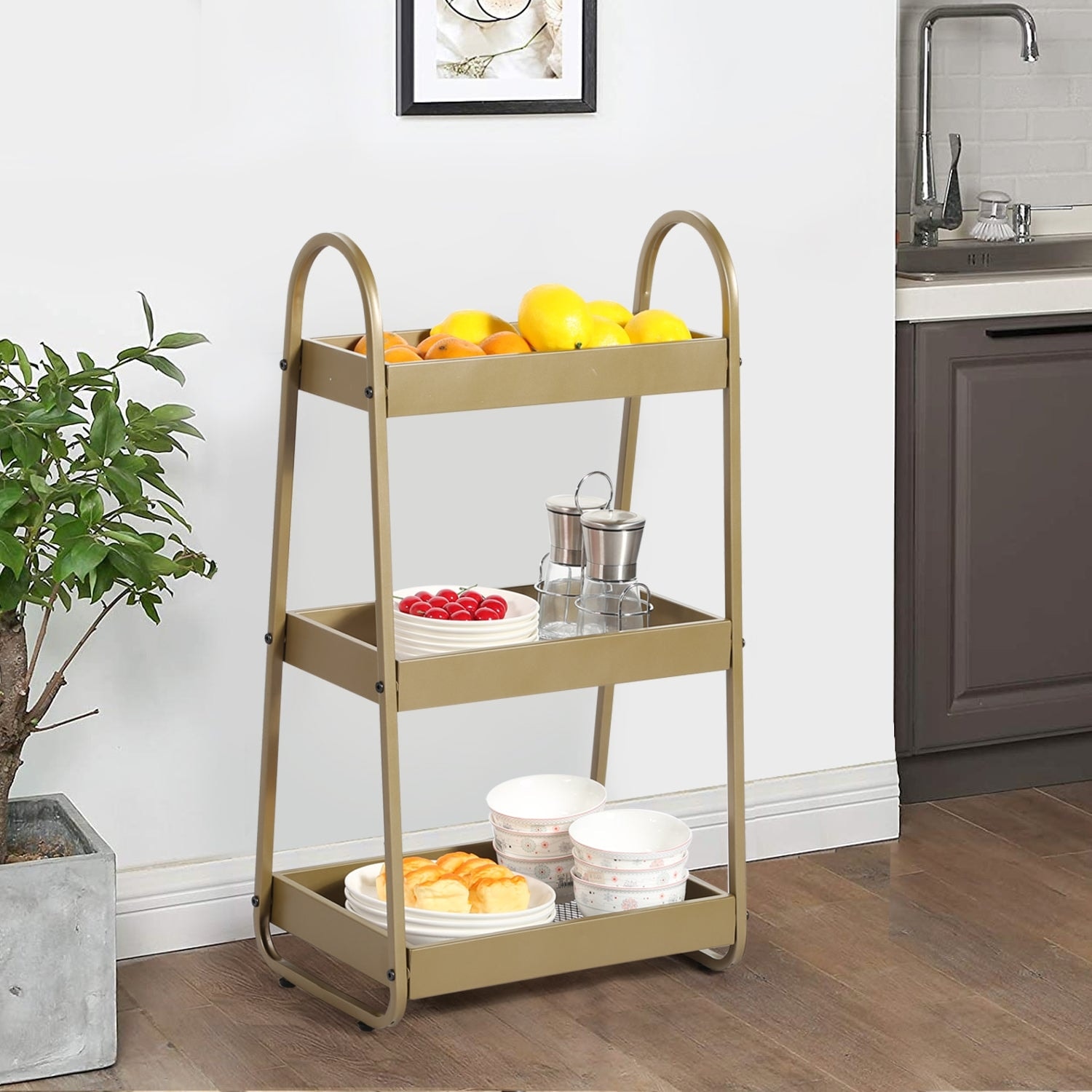 3-layer Iron Mesh Rack