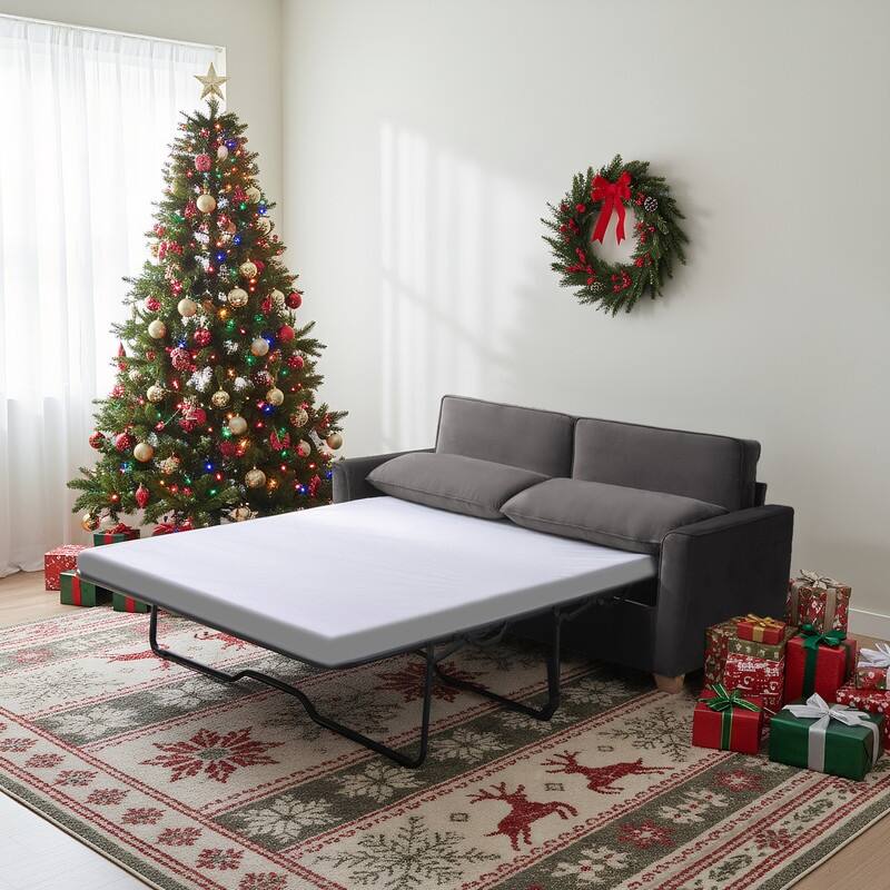 MIxoy Modern Velvet Queen Size 2-in-1 Pull Out Sleep Sofa Bed