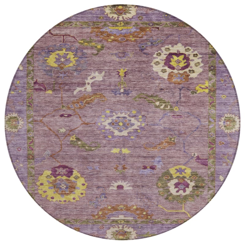 Machine Washable Indoor/ Outdoor Traditional Boho Chantille Rug