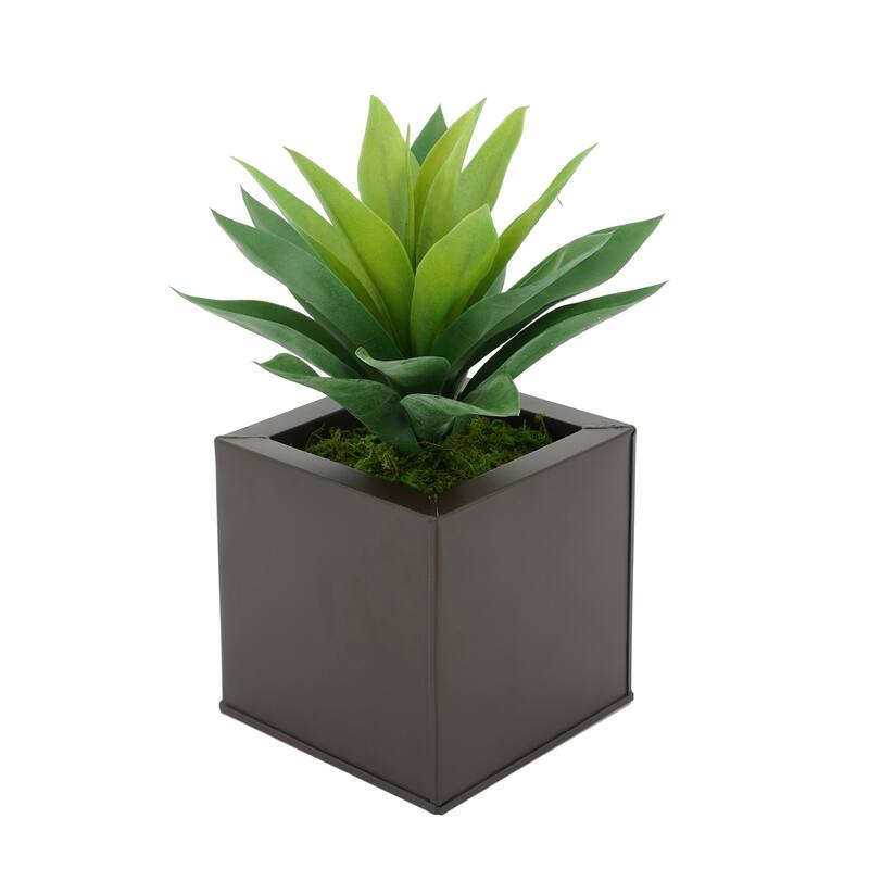 Faux Frosted Light Green Succulent in Square Zinc Planter - Matte Brown