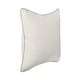 preview thumbnail 62 of 130, Villa by Classic Home Harriet Velvet Throw Pillow