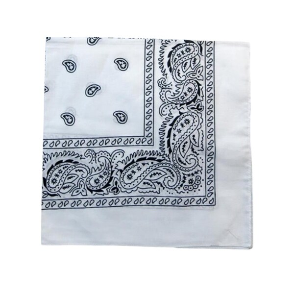 Mechaly Paisley 100/% Polyester Unisex Bandanas 4 Pack