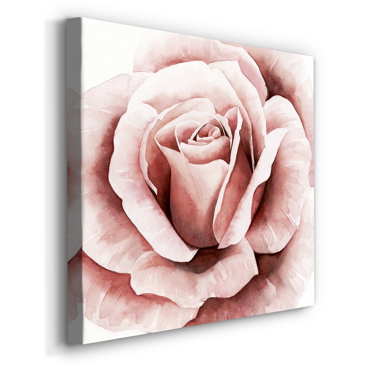 Pink Rose Canvas Wall Art, Flower Decor - Canvas Gallery Wrap in Multiple Print Sizes - 'Pink and Shabby' by Offley Green 16x20