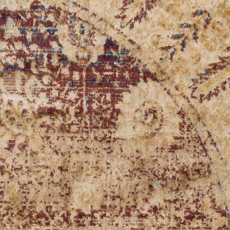 Alexander Home Contessa Traditional Floral Distressed Border Rug