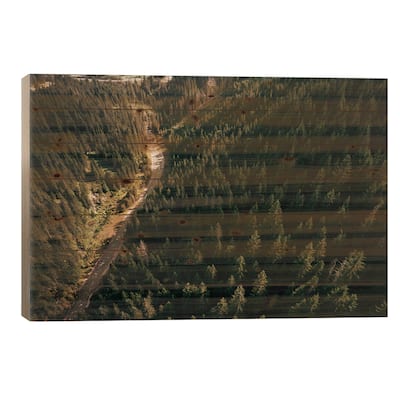 Road Through The Trees Print On Wood by Sebastian Hilgetag - Multi-Color