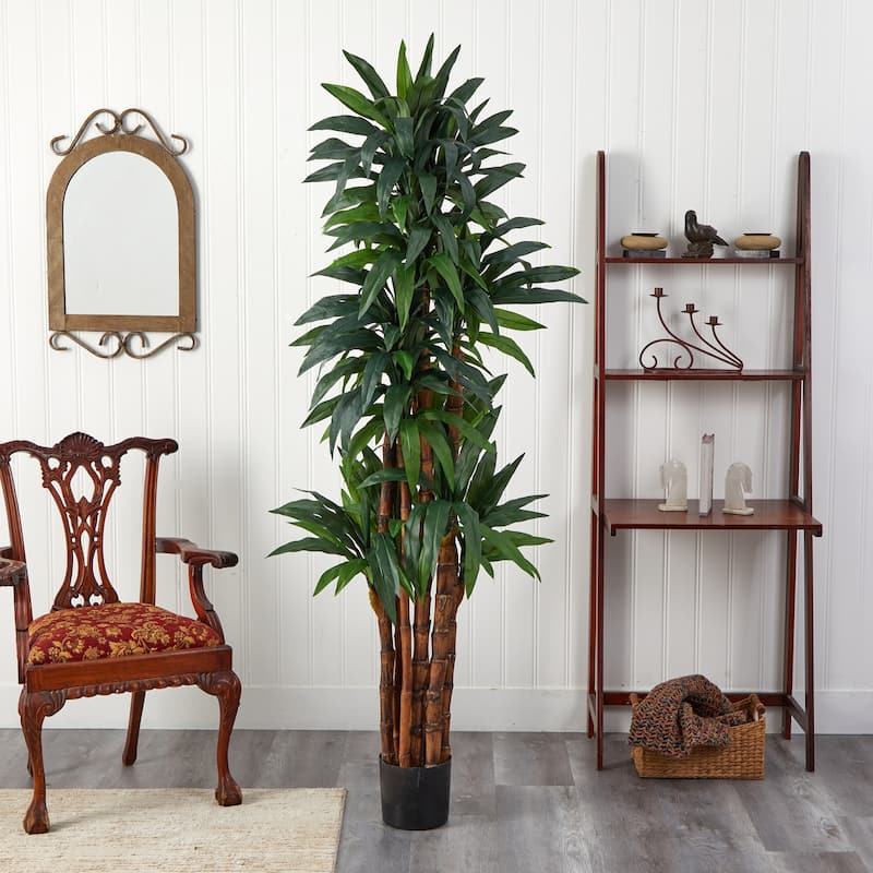 Dracaena Tree Indoor Plant 6.5ft Tall Modern Home Office Decor - 6.5ft.