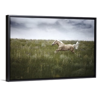 Shop Horse Running In Field With Cloudy Weather Black Float