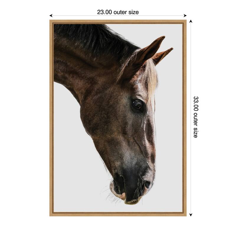 Majestic Equine Gaze by Shot by Clint (23 x 33 in.), Framed Canvas Wall Art Print