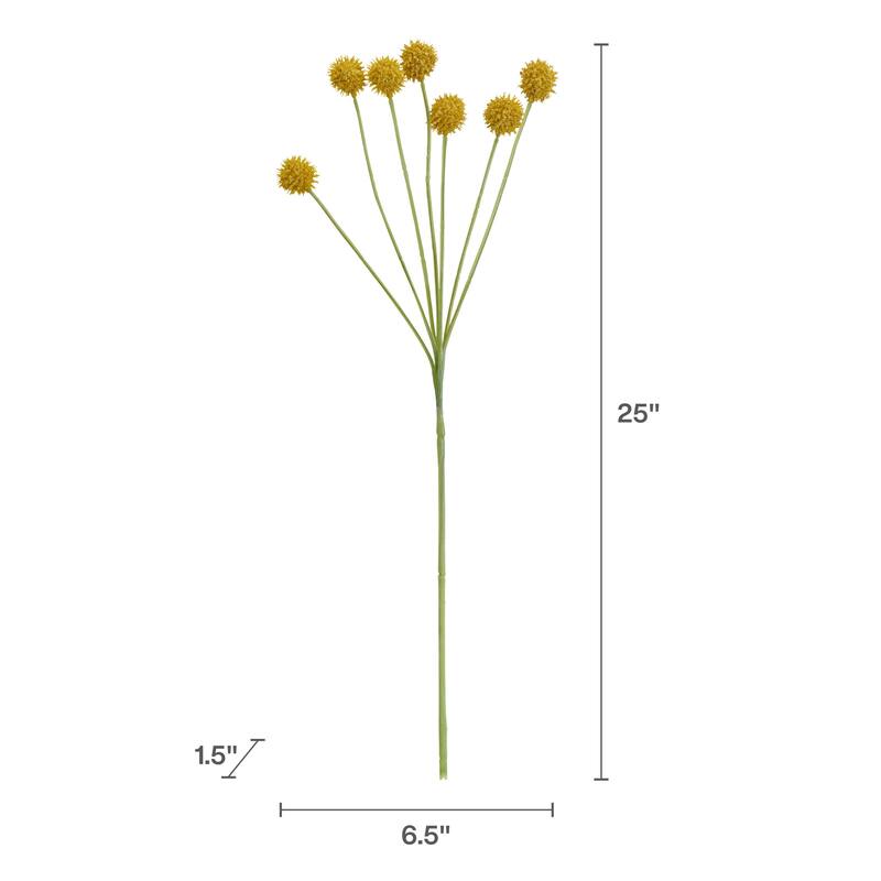Elements Set of 6 Artificial Craspedia Stem, 25 Inch - N/A
