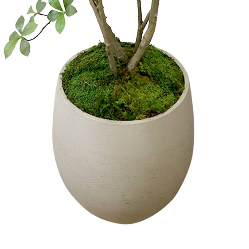 Bonsai Tree in Fiberstone Planter - 87