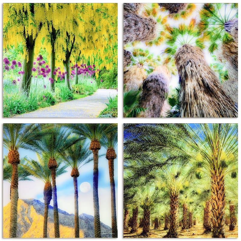 "Palm Tree Groves" Frameless Free Floating Reverse Printed Tempered Glass Nature Scapes Wall Art