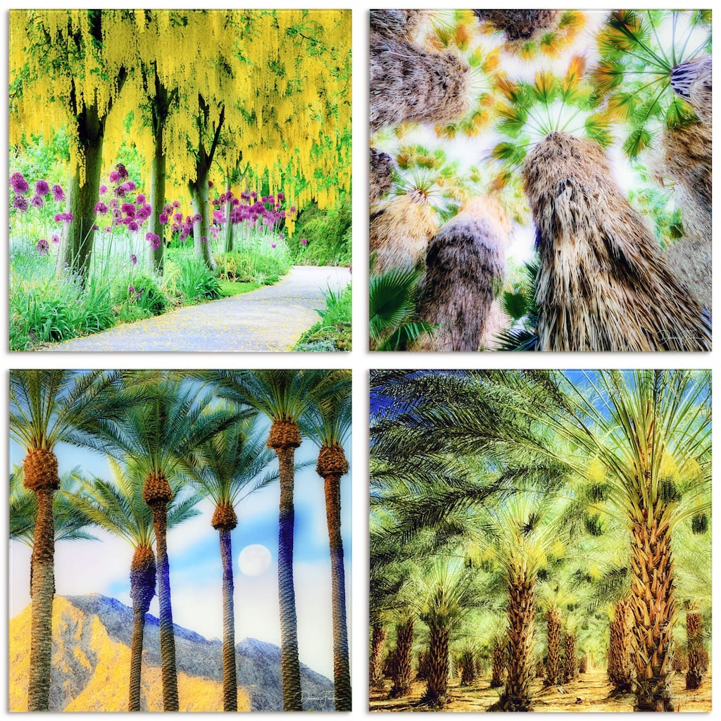 "Palm Tree Groves" Frameless Free Floating Reverse Printed Tempered Glass Nature Scapes Wall Art