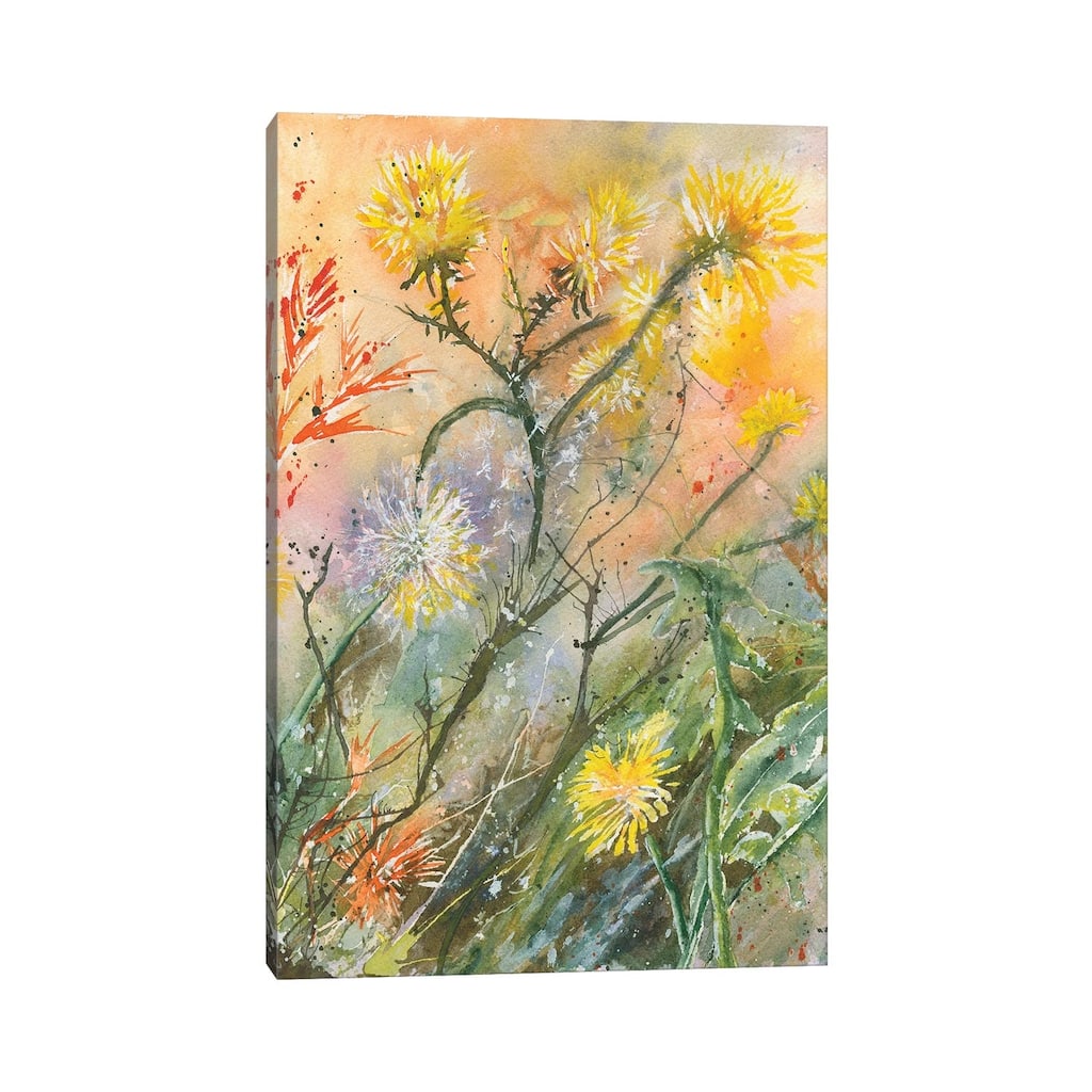 iCanvas "Dandelions" by Liz Covington Canvas Print