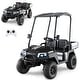 preview thumbnail 9 of 7, 24V Kids Golf Cart 4WD Ride on Car w/ Sun Shade & Remote Control Black