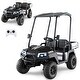 preview thumbnail 29 of 38, Costway 24V 7AH Kids Golf Cart 4WD 2 Seater Ride on Car with Sun Shade