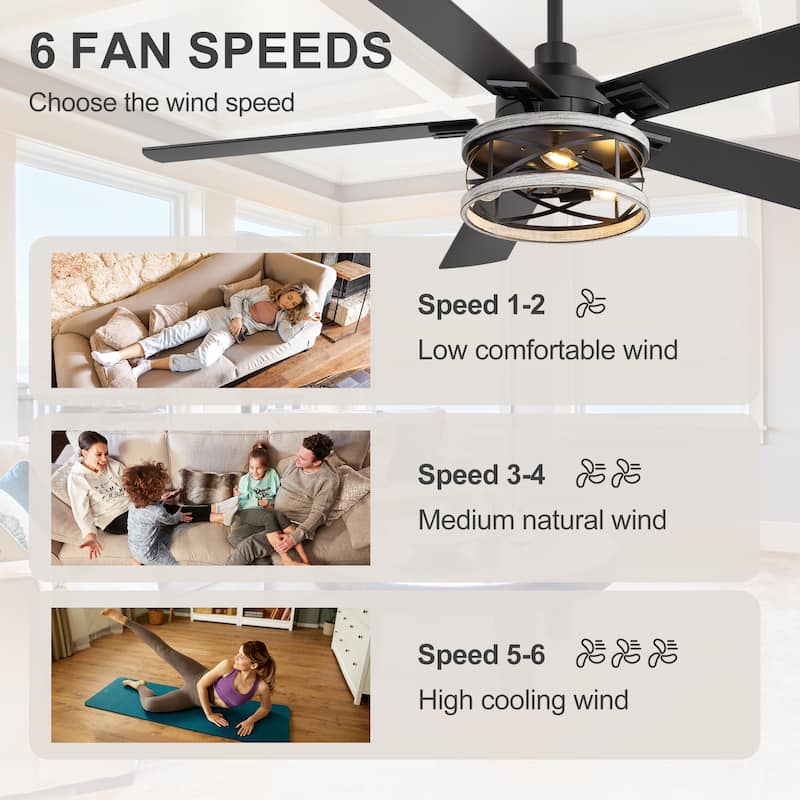 52-inch Reversible 5-Blade Caged Ceiling Fan with Remote and Light Kit